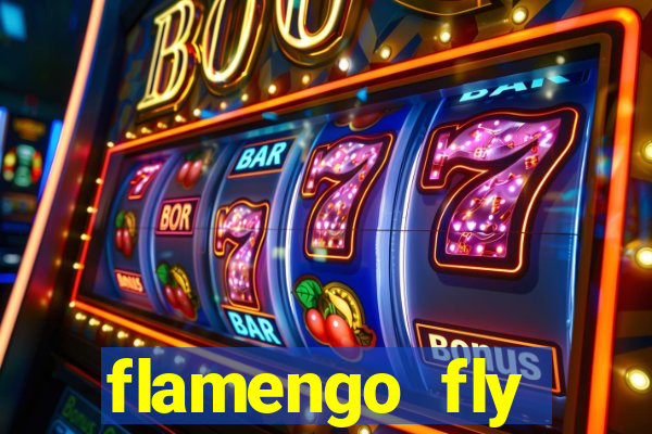 flamengo fly emirates ultimas noticias